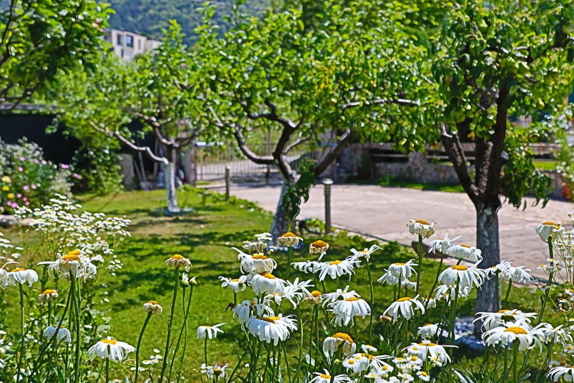 Holiday House Kubrat Sapareva Banya Exterior foto