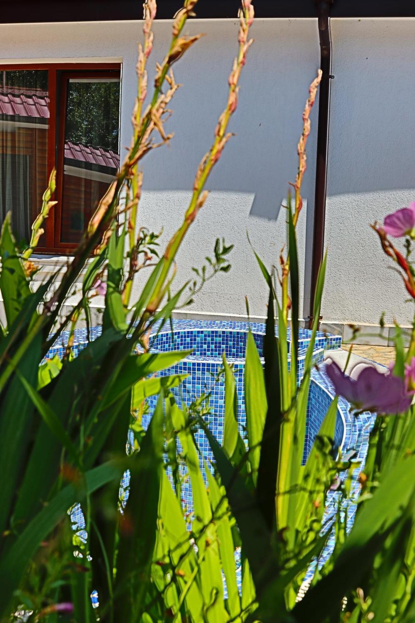 Holiday House Kubrat Sapareva Banya Exterior foto